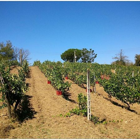 Agriturismo San Giusto มอนเตียโน ภายนอก รูปภาพ